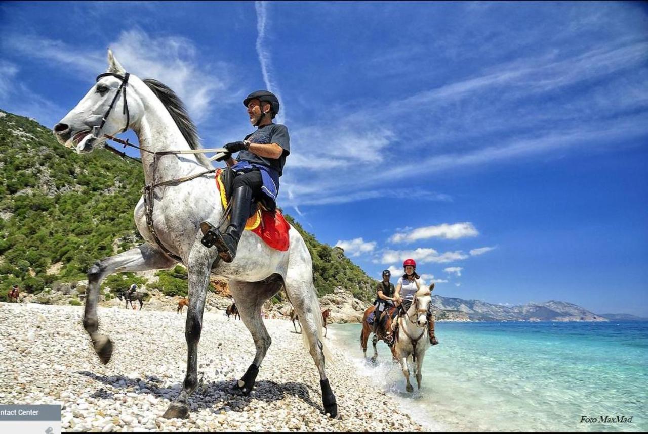 Casa Vacanze Ponente Santa Maria Navarrese Dış mekan fotoğraf